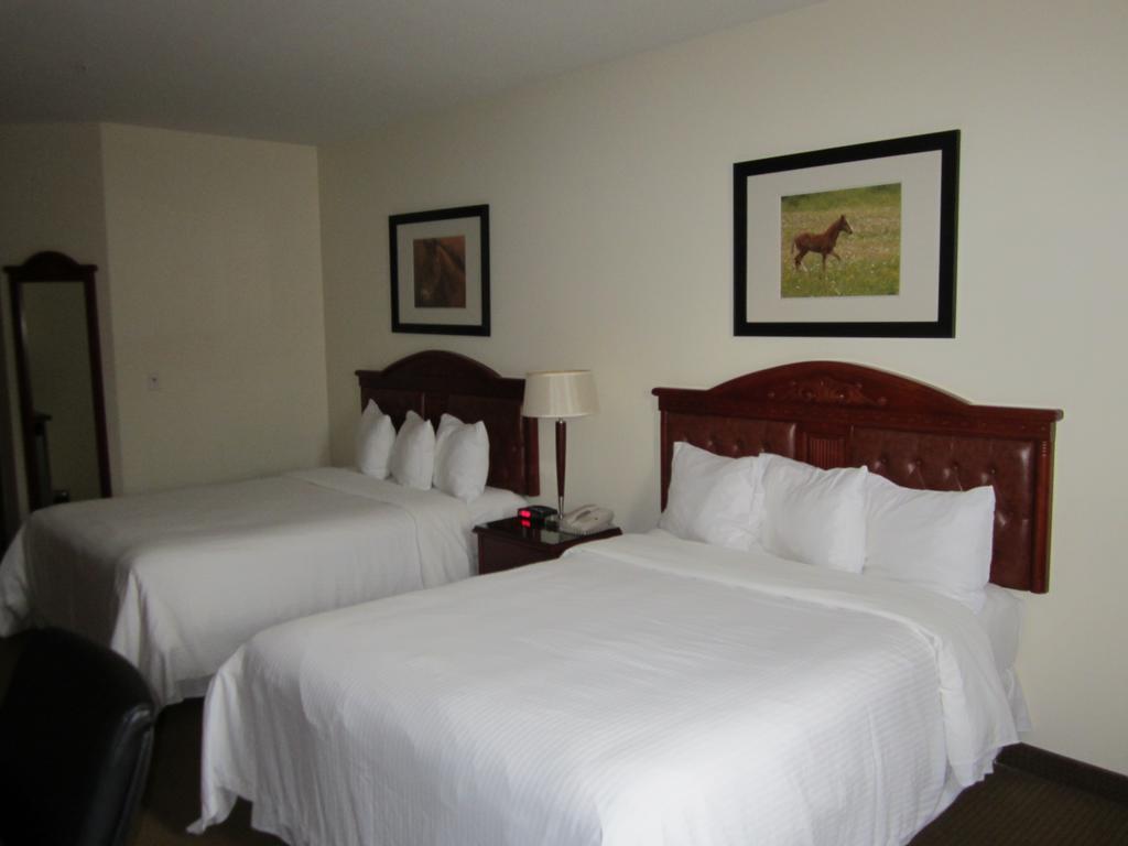 Trend Mountain Hotel & Conference Centre Tumbler Ridge Quarto foto